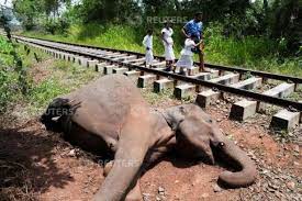 Accident scene